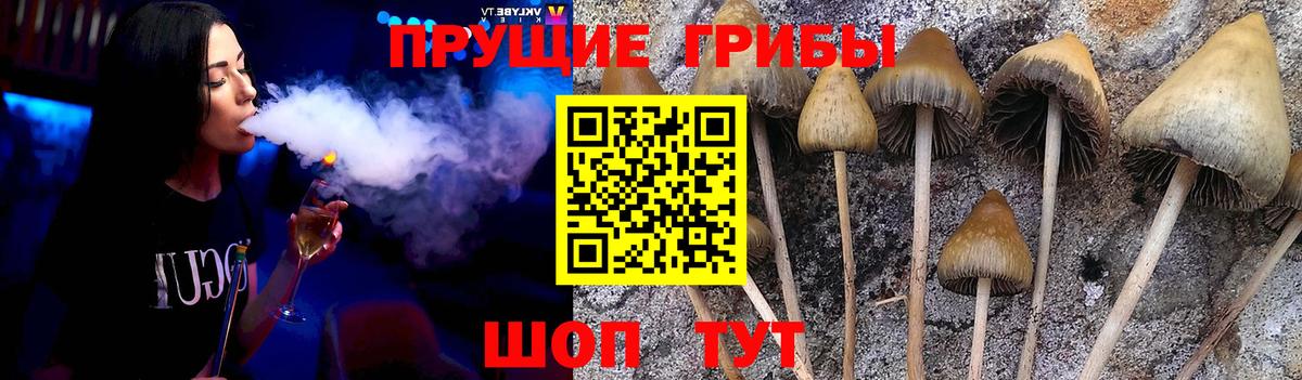Кохма  Псилоцибиновые грибы мухоморы  Галлюциногенные грибы ЛСД  Вход с VPN 